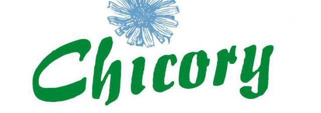 Překladatelská agentura Chicory s.r.o. Brno-střed